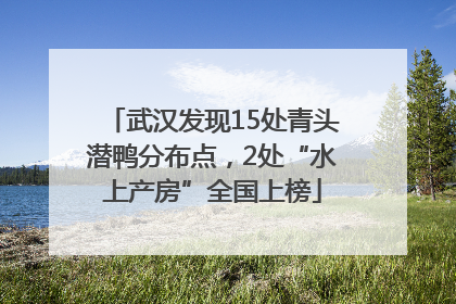 武汉发现15处青头潜鸭分布点，2处“水上产房”全国上榜