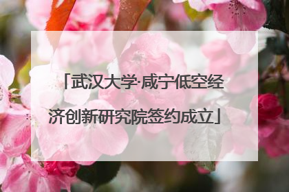 武汉大学·咸宁低空经济创新研究院签约成立