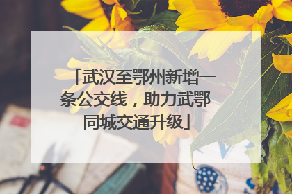 武汉至鄂州新增一条公交线，助力武鄂同城交通升级