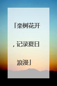 栾树花开，记录夏日浪漫