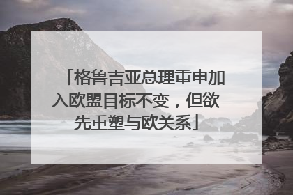 格鲁吉亚总理重申加入欧盟目标不变，但欲先重塑与欧关系