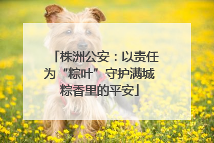 株洲公安：以责任为“粽叶”守护满城粽香里的平安