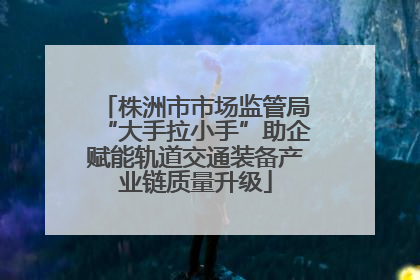 株洲市市场监管局“大手拉小手”助企赋能轨道交通装备产业链质量升级