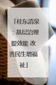 桂东清泉：基层治理提效能 改善民生增福祉