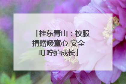 桂东青山：校服捐赠暖童心 安全叮咛护成长