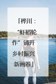 桦川：“虾稻轮作”铺开乡村振兴新画卷