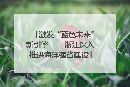 激发“蓝色未来”新引擎——浙江深入推进海洋强省建设