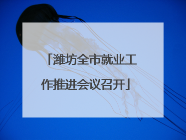 潍坊全市就业工作推进会议召开