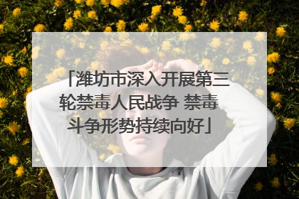 潍坊市深入开展第三轮禁毒人民战争 禁毒斗争形势持续向好