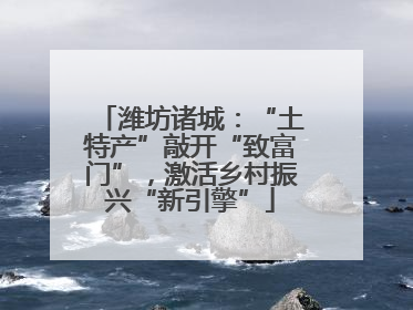 潍坊诸城：“土特产”敲开“致富门”，激活乡村振兴“新引擎”