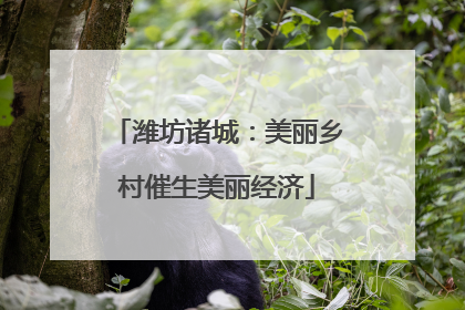 潍坊诸城：美丽乡村催生美丽经济