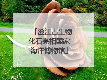 澄江古生物化石亮相国家海洋博物馆