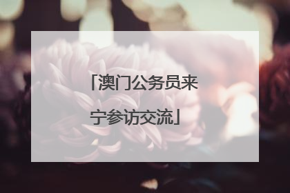 澳门公务员来宁参访交流