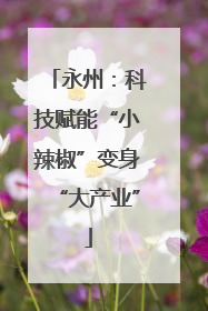 永州：科技赋能“小辣椒”变身“大产业”