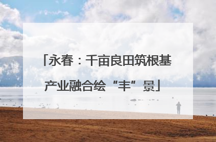 永春：千亩良田筑根基 产业融合绘“丰”景