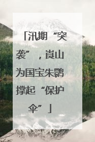 汛期“突袭”，崀山为国宝朱鹮撑起“保护伞”