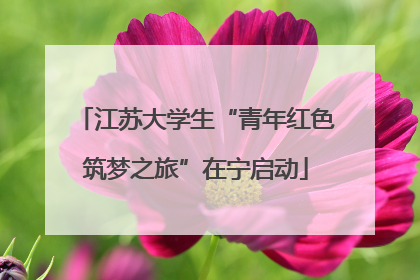 江苏大学生“青年红色筑梦之旅”在宁启动