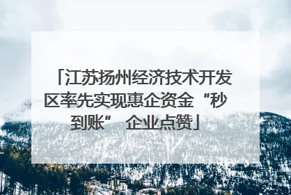 江苏扬州经济技术开发区率先实现惠企资金“秒到账” 企业点赞