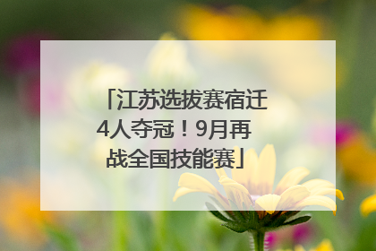 江苏选拔赛宿迁4人夺冠！9月再战全国技能赛