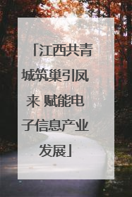江西共青城筑巢引凤来 赋能电子信息产业发展