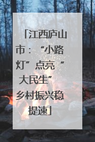 江西庐山市：“小路灯”点亮“大民生” 乡村振兴稳提速