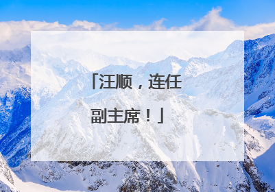 汪顺，连任副主席！