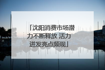 沈阳消费市场潜力不断释放 活力迸发亮点频现