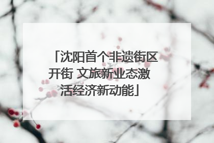 沈阳首个非遗街区开街 文旅新业态激活经济新动能