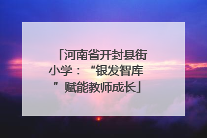 河南省开封县街小学：“银发智库”赋能教师成长