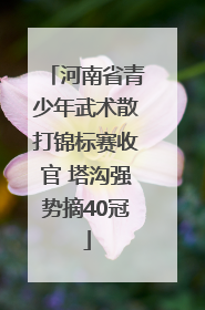 河南省青少年武术散打锦标赛收官 塔沟强势摘40冠