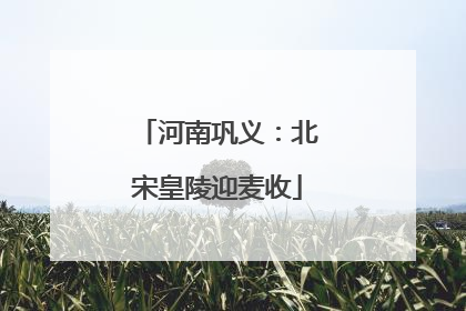 河南巩义：北宋皇陵迎麦收