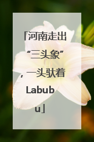 河南走出“三头象”，一头驮着Labubu
