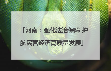 河南：强化法治保障 护航民营经济高质量发展