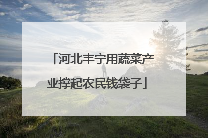 河北丰宁用蔬菜产业撑起农民钱袋子
