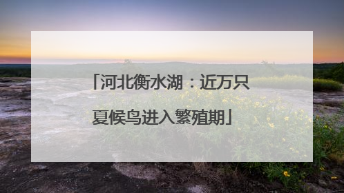 河北衡水湖：近万只夏候鸟进入繁殖期