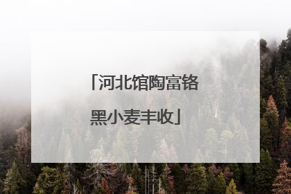 河北馆陶富铬黑小麦丰收