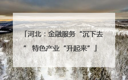 河北：金融服务“沉下去” 特色产业“升起来”