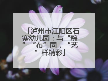 泸州市江阳区石寨幼儿园：与“粽”“布”同，“艺”样精彩