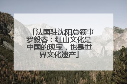 法国驻沈阳总领事罗毅睿：红山文化是中国的瑰宝，也是世界文化遗产