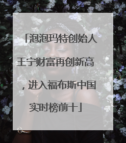 泡泡玛特创始人王宁财富再创新高，进入福布斯中国实时榜前十