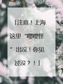 注意！上海这里“嘤嘤怪”出没！你见过没？！