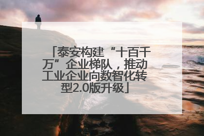 泰安构建“十百千万”企业梯队，推动工业企业向数智化转型2.0版升级