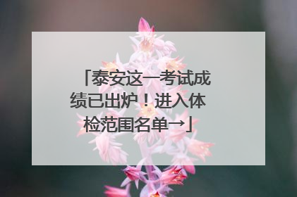 泰安这一考试成绩已出炉！进入体检范围名单→