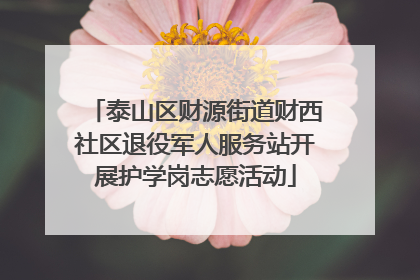 泰山区财源街道财西社区退役军人服务站开展护学岗志愿活动