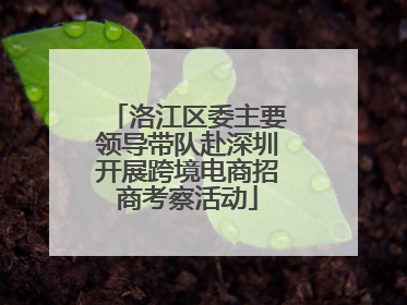 洛江区委主要领导带队赴深圳开展跨境电商招商考察活动