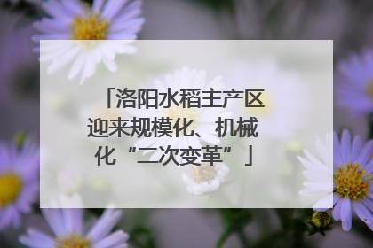 洛阳水稻主产区迎来规模化、机械化“二次变革”