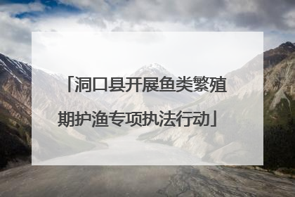 洞口县开展鱼类繁殖期护渔专项执法行动