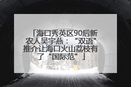 海口秀英区90后新农人吴宇燕：“双语”推介让海口火山荔枝有了“国际范”