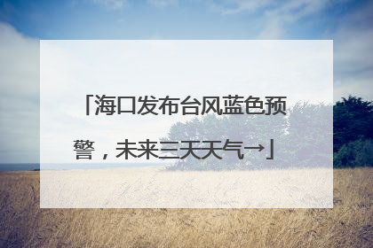 海口发布台风蓝色预警，未来三天天气→