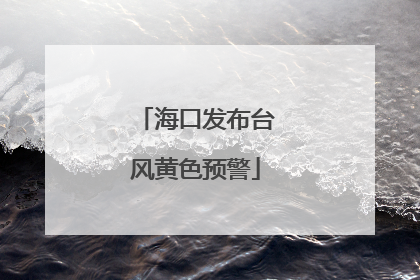 海口发布台风黄色预警